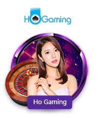 Live Casino HoGaming